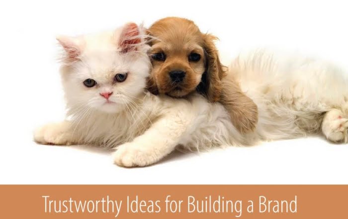 Trustworthy-ideas-for-building-brand | Buiding a brand
