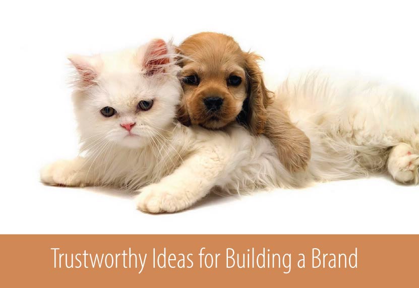 Trustworthy-ideas-for-building-brand | Buiding a brand