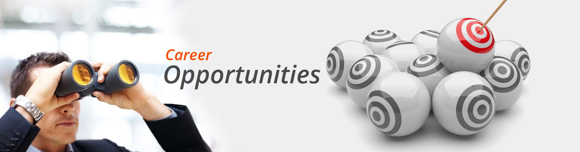 Job | Career | Education | Job Opportunities | join us | our crew | Abhishek Branding