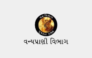 forest logo | animal place logo | forest department logo