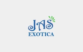 Real-Estate-Vadodara | Real Estate Logo | Real Estate Logo Design in Silvassa | Jas Exotoca Logo